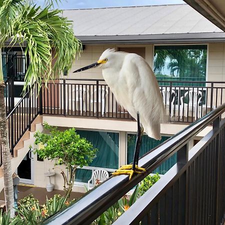 Caribbean Beach Club Fort Myers Beach Zewnętrze zdjęcie
